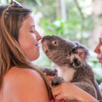 Brooke Reese gets up close and personal with a Koala